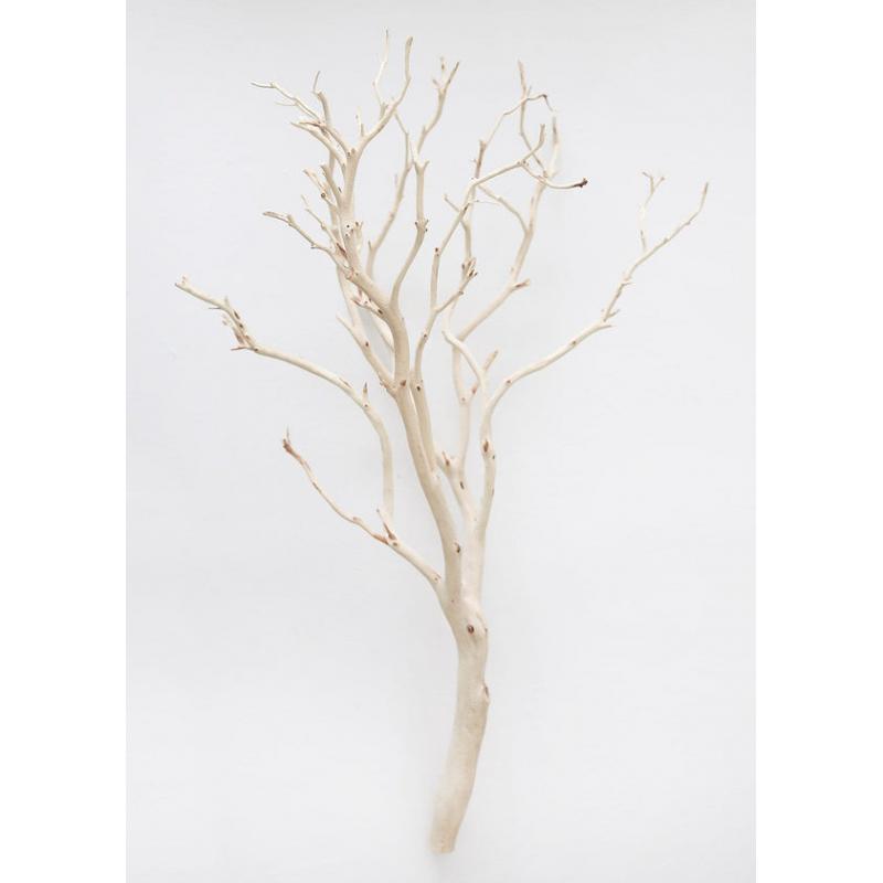 Dried Decor Natural Sandblasted Manzanita Branch - 34-38"