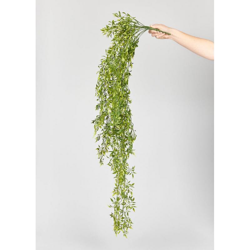 Natural Touch Ruscus Hanging Branch - 50"