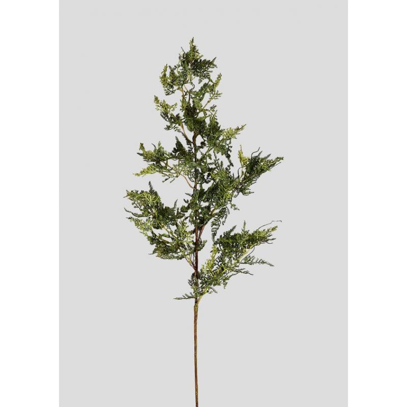 Artificial Baby's Tears Fern Branch - 36"