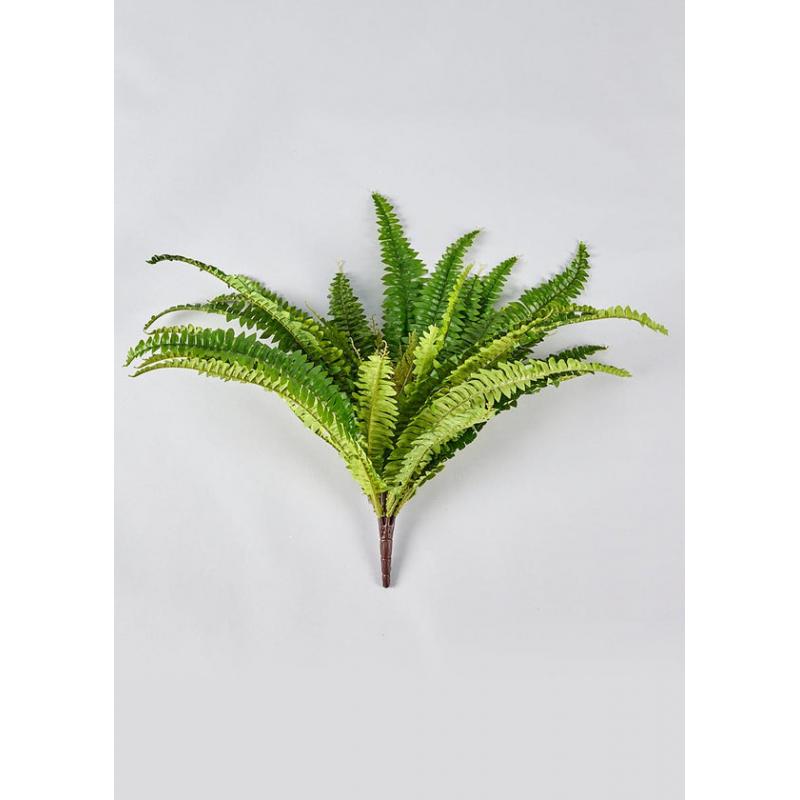 UV Treated Indoor/Outdoor Hanging Boston Fern Plant - 23"