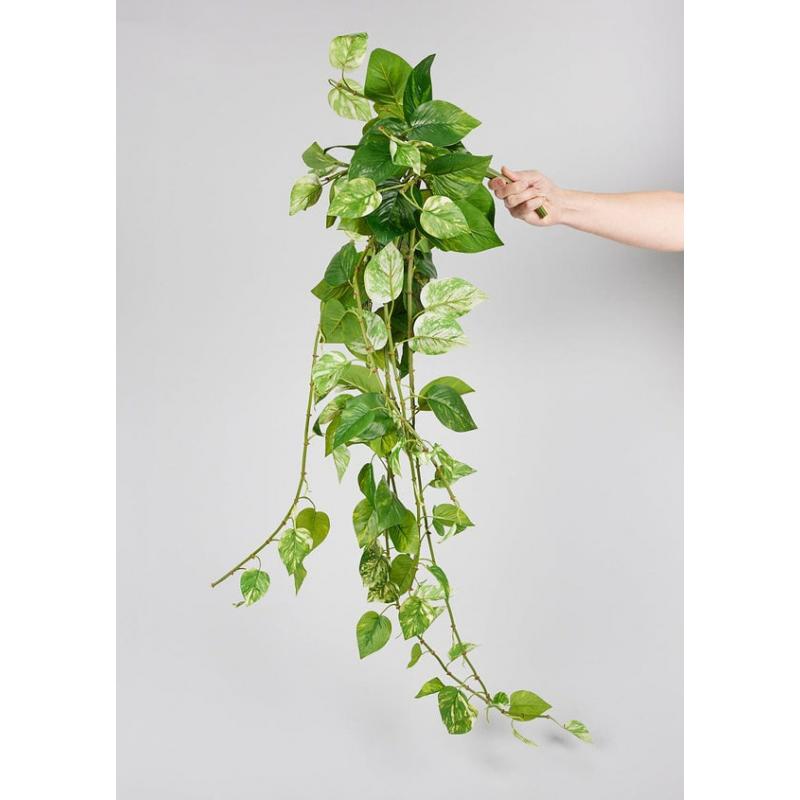 Natural Touch Pothos Artificial Plant - 48"